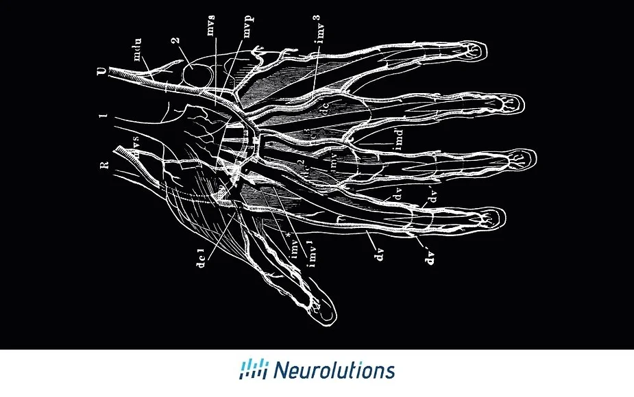 Fine Motor Exercises for Hands for Stroke Survivors: Techniques and Benefits