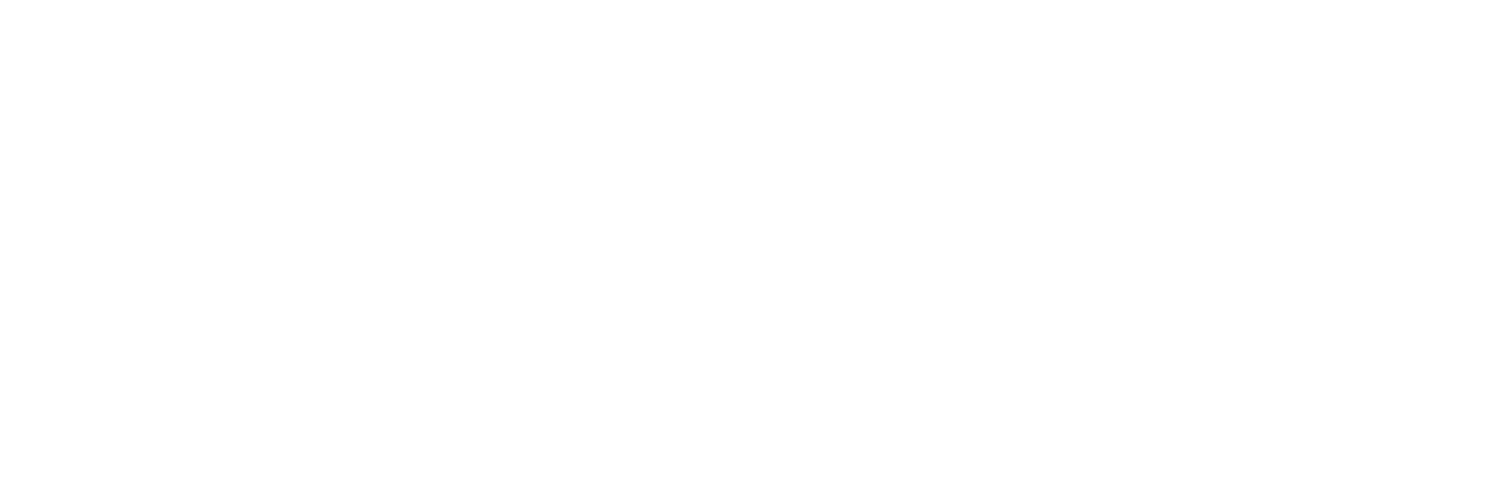 neurolutions logo